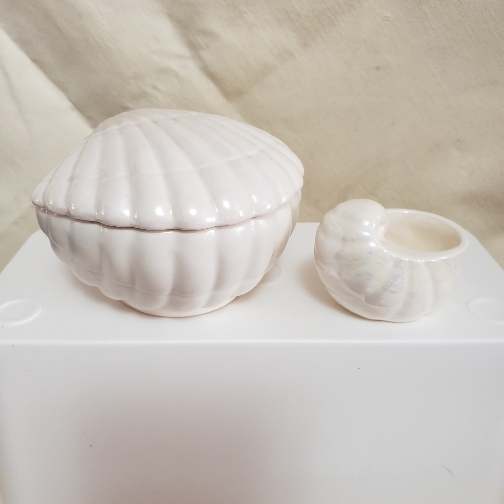 Set of 2 seashell decorative pieces.